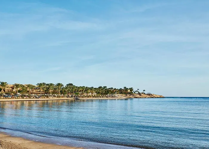Steigenberger Coraya - Adults Friendly 16 Years Resort 5*