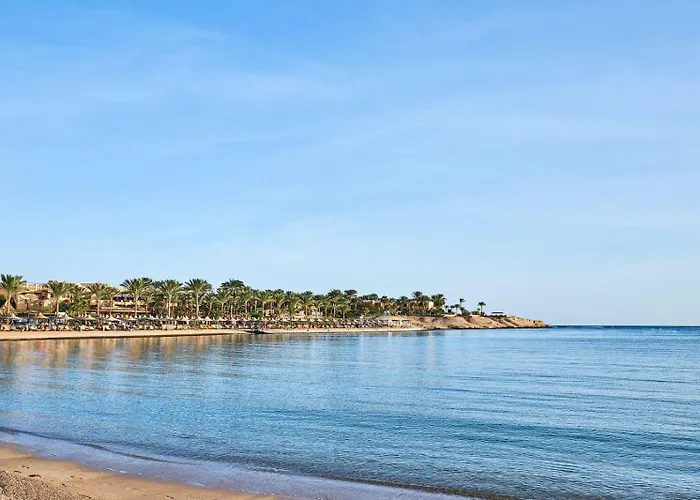 Steigenberger Coraya - Adults Friendly 16 Years Resort