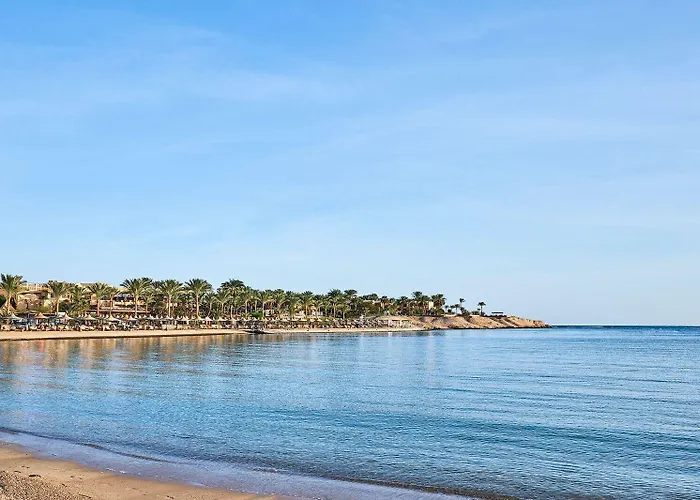 Steigenberger Coraya - Adults Friendly 16 Years Resort 5*